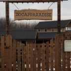 Ферма ZOOPARADISE, Глэмпинг Apparadise Glamping&Spa