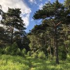 Студио (Студия УНИК АПАРТ Маренго рядом с Кардиоцентром, Спортшколой, заповедниками, Автомотивом), Апартаменты УНИК АПАРТ на Шахтеров рядом с Кардиоцентром