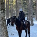 Конный прокат, Отель Артау