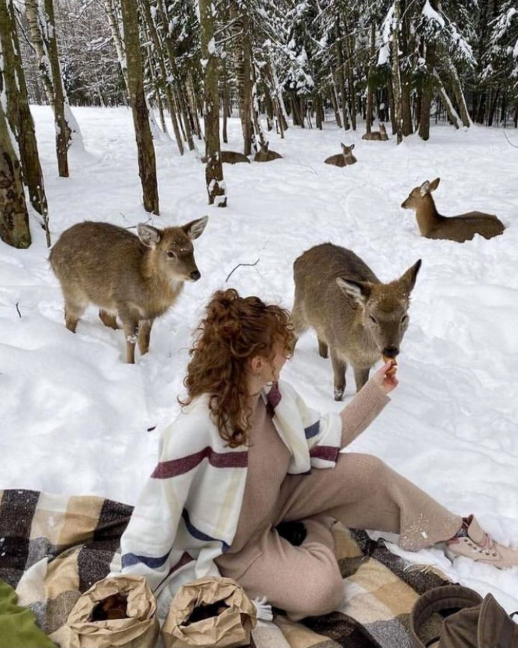 Трёхместный и более (Нежный домик), Гостевой дом Оленья ферма Бэмби Лэнд