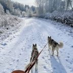 Трёхместный и более (Северный домик), Гостевой дом Оленья ферма Бэмби Лэнд