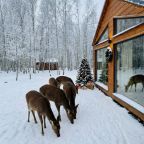 Коттедж (Домик на опушке), Гостевой дом Оленья ферма Бэмби Лэнд