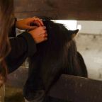 Эко-ферма, Отель Кавказский Целитель