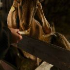 Эко-ферма, Отель Кавказский Целитель