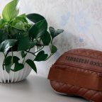 Вилла (Вилла 