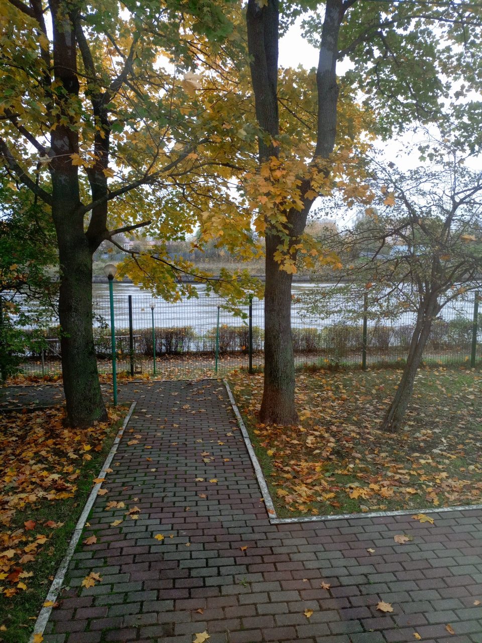 Вид с террасы