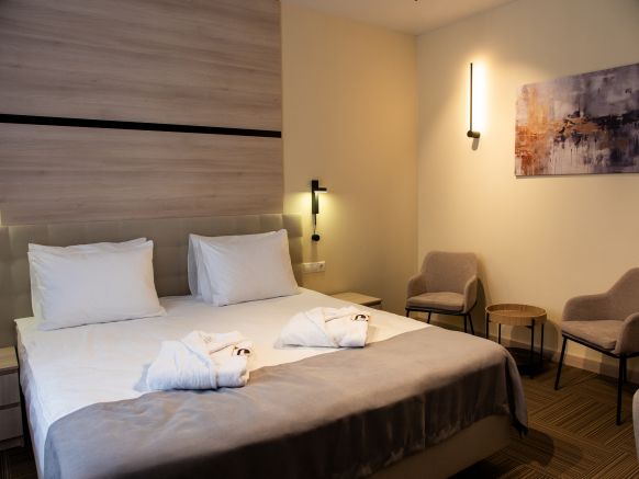 Фотография номера гостиницы Парк Отель Дубки