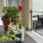 Трёхместный и более, Гостевой дом Allegro Home