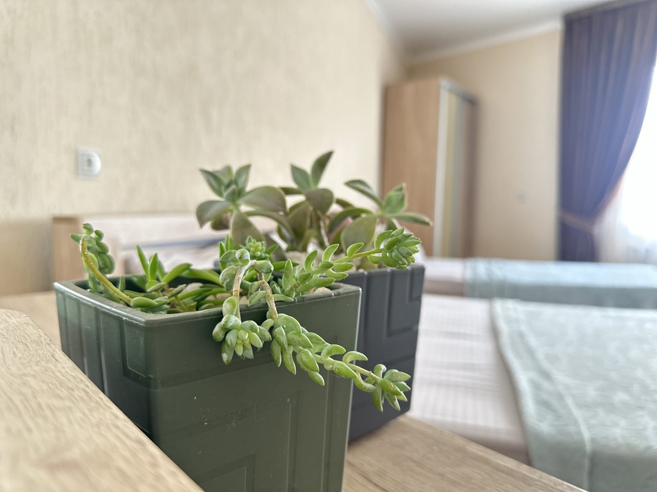 Четырехместный, Гостевой дом Allegro Home
