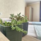Четырехместный, Гостевой дом Allegro Home