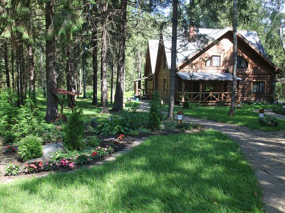 Фотография номера гостиницы Романов лес