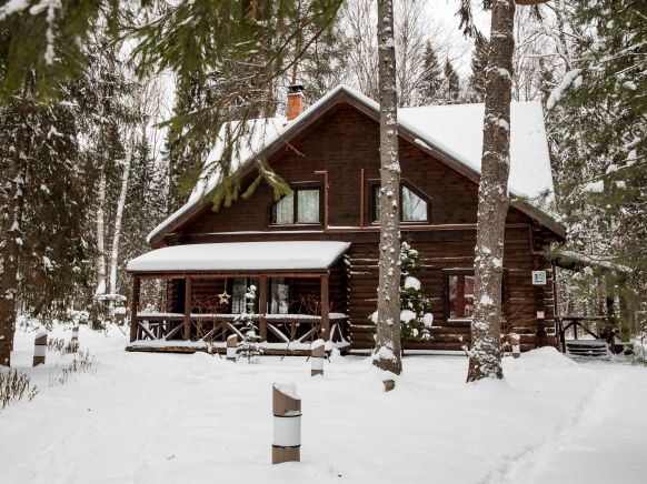 Фотография номера гостиницы Романов лес