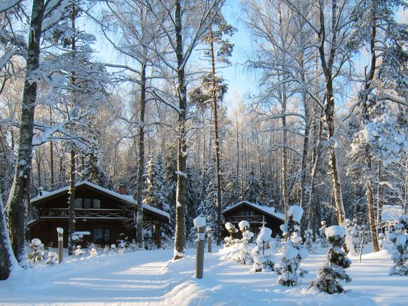 Фотография номера гостиницы Романов лес