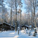 Коттедж (Комфорт), Эко-отель Романов лес