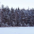 Барбекю, Гостевой дом Уютный для аренды на сутки