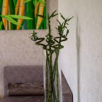 Двухместный (Люкс 1), Гостиница ОЛИМП