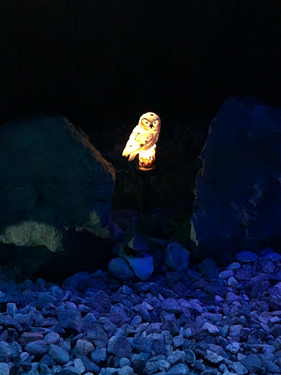 Восьмиместный (Домик Шале), Гостевой дом Шале Белая Сова