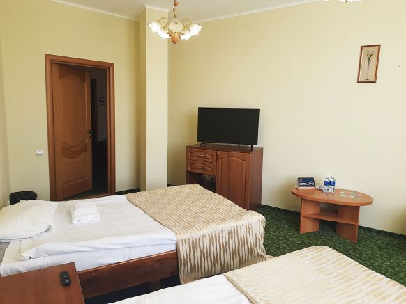 Фотография номера гостиницы Азалия на Нариманова