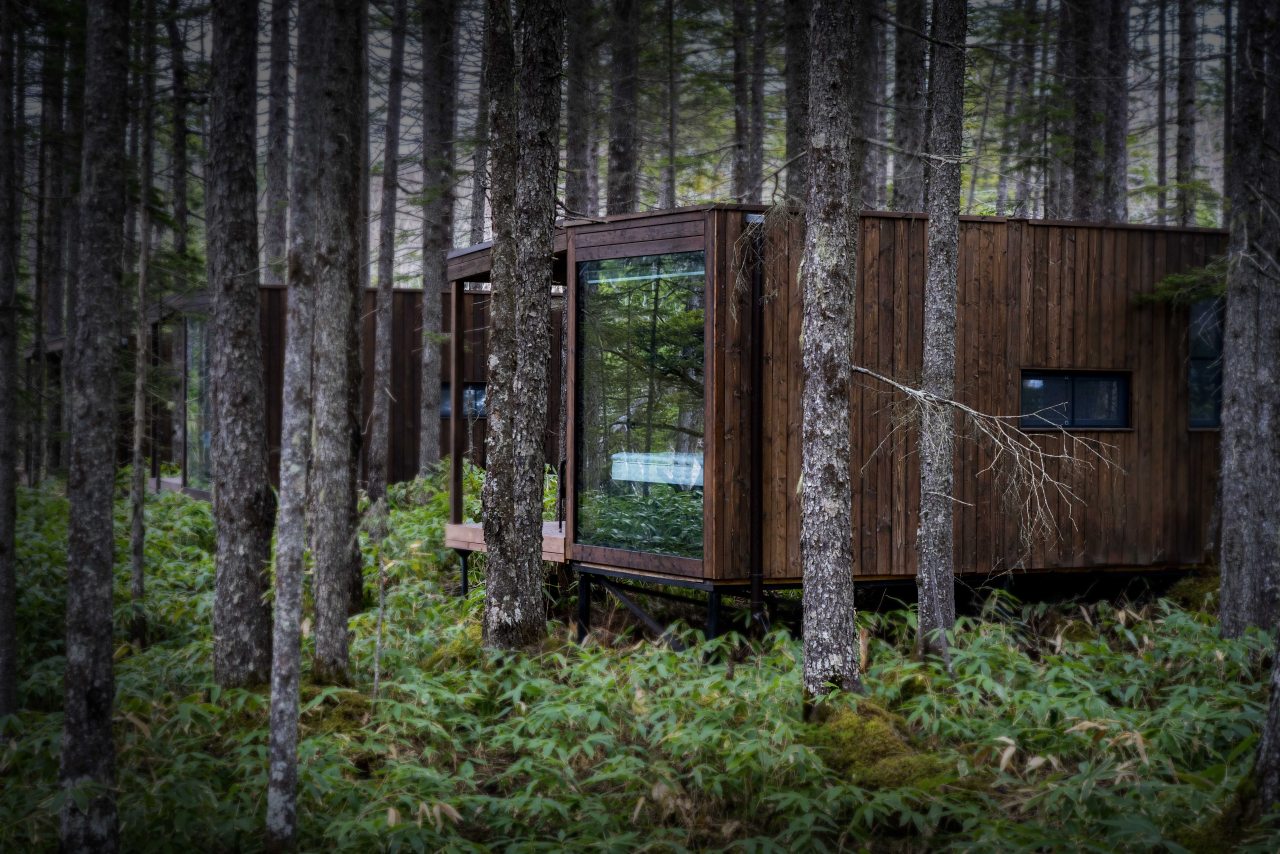 Двухместный (Стандарт), Гостиница Кунашир Резорт и СПА