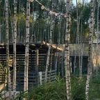 Вид на сад, Гостевой дом МЫ Дома в Шелково