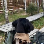 Питомцы, Гостевой дом МЫ Дома в Шелково