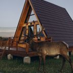 Дом (В стиле А-фрейм с открытым потолком), Загородный отель Саянский Марал