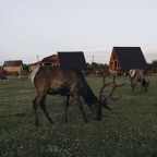 Дом (В стиле А-фрейм с открытым потолком), Загородный отель Саянский Марал