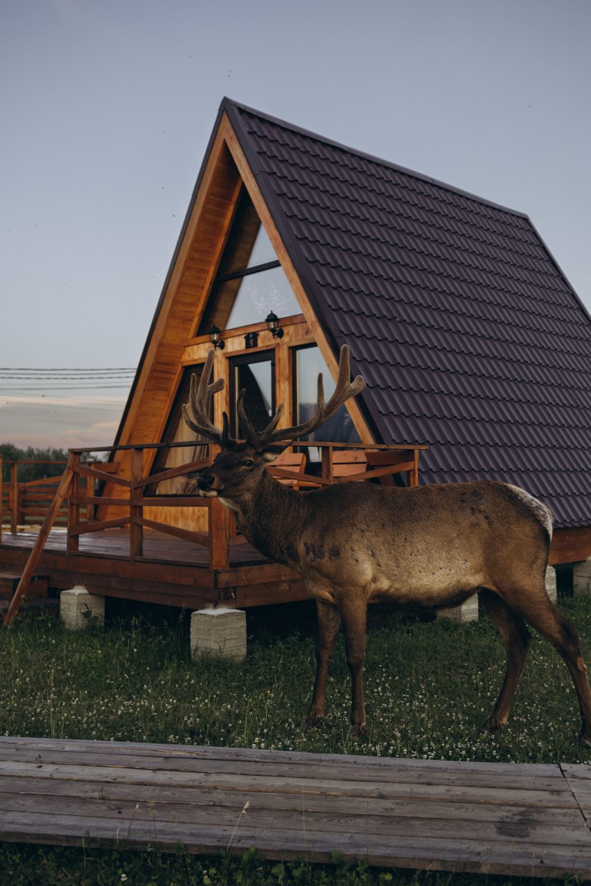 Дом (В стиле А-фрейм с полноценным вторым этажом), Загородный отель Саянский Марал