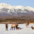 Вид на горы, Загородный отель Саянский Марал