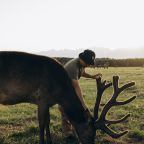 Зоопарк, Загородный отель Саянский Марал