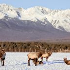 Зоопарк, Загородный отель Саянский Марал