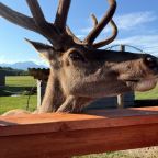 Зоопарк, Загородный отель Саянский Марал