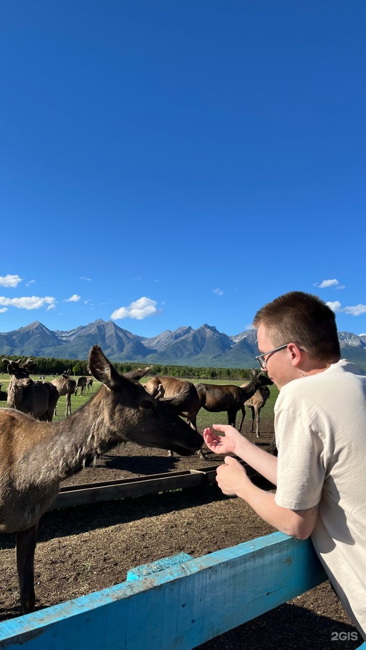 Экскурсия по мараловой ферме, Загородный отель Саянский Марал