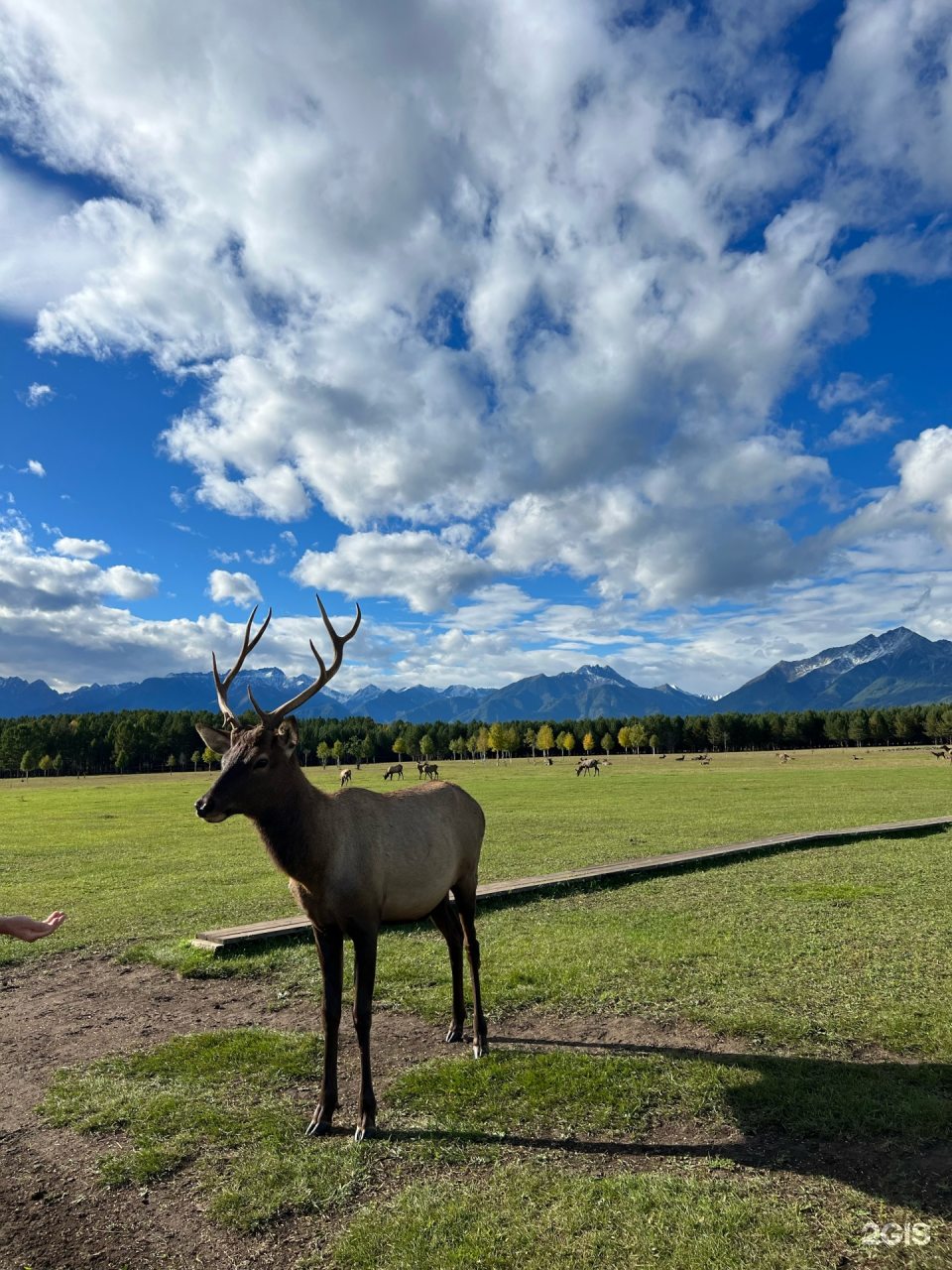 Экскурсия по мараловой ферме, Загородный отель Саянский Марал