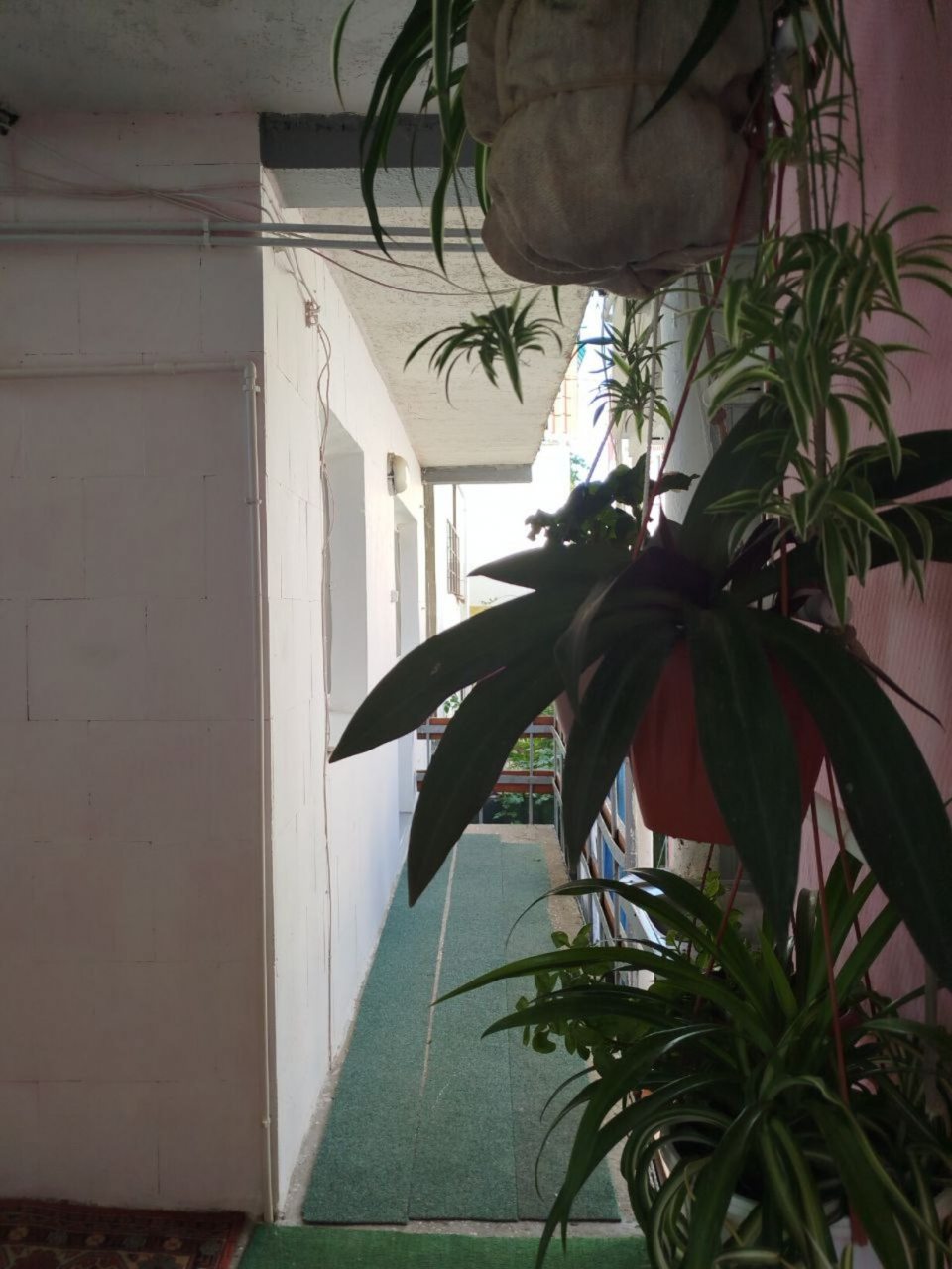 Отдельный вход.