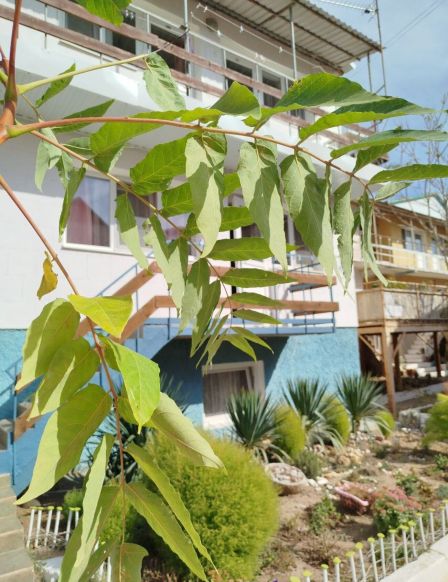 Гостиница Домик у моря, Саки