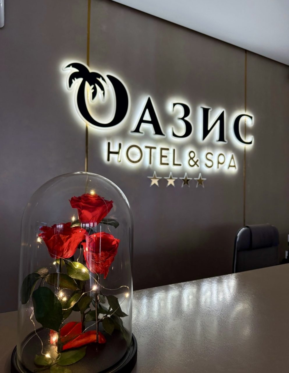 Бассейн, SPA-отель Оазис