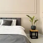 Двухместный (Двухместный стандарт), Меблированные комнаты Сердце города