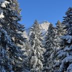 Коттедж (Двухэтажный), База отдыха Eco Park Arkhuz