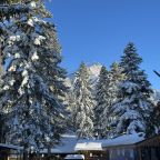 Коттедж (Афрейм-1), База отдыха Eco Park Arkhuz