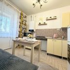 Апартаменты (Апартаменты возле Московской площади, 3), Апартаменты 1-к на Телевизионной