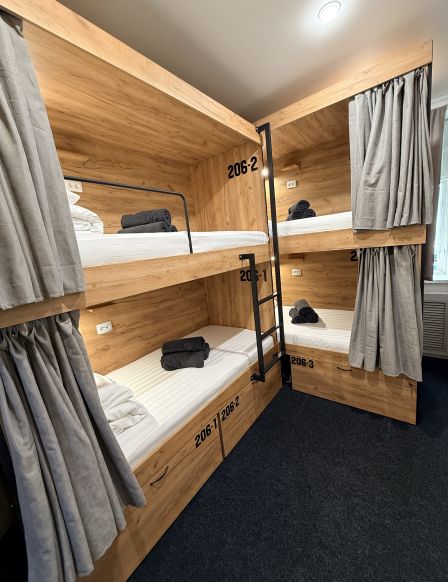 Фотография номера хостела Редиска на Лесгафта