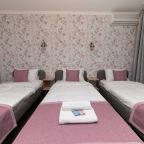 Трехместный (Трехместный номер с раздельными кроватями и ванной комнатой), Мини-отель Плюшкин