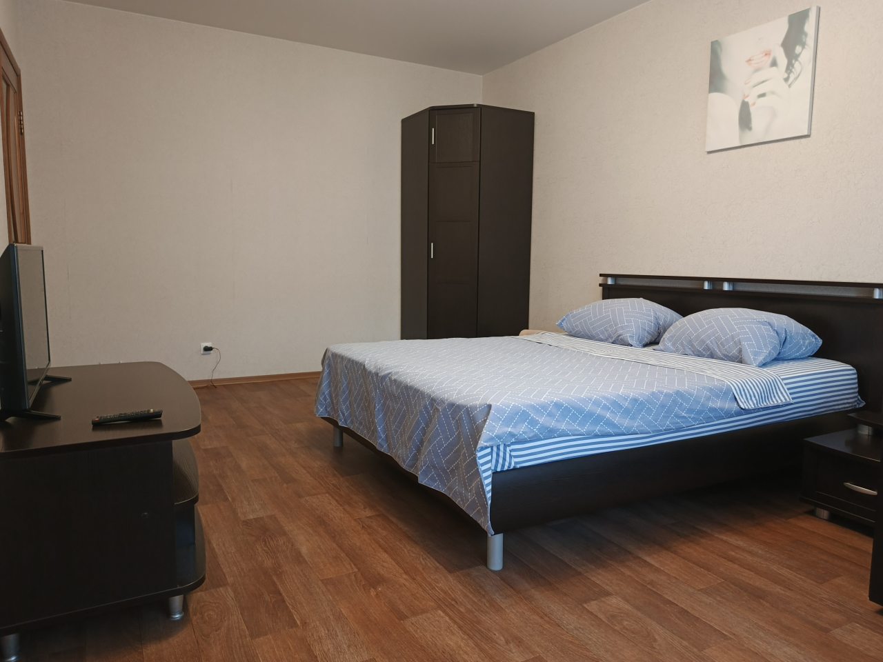 Апартаменты (Квартира на Московском проспекте 100), Апартаменты на Московском проспекте 100