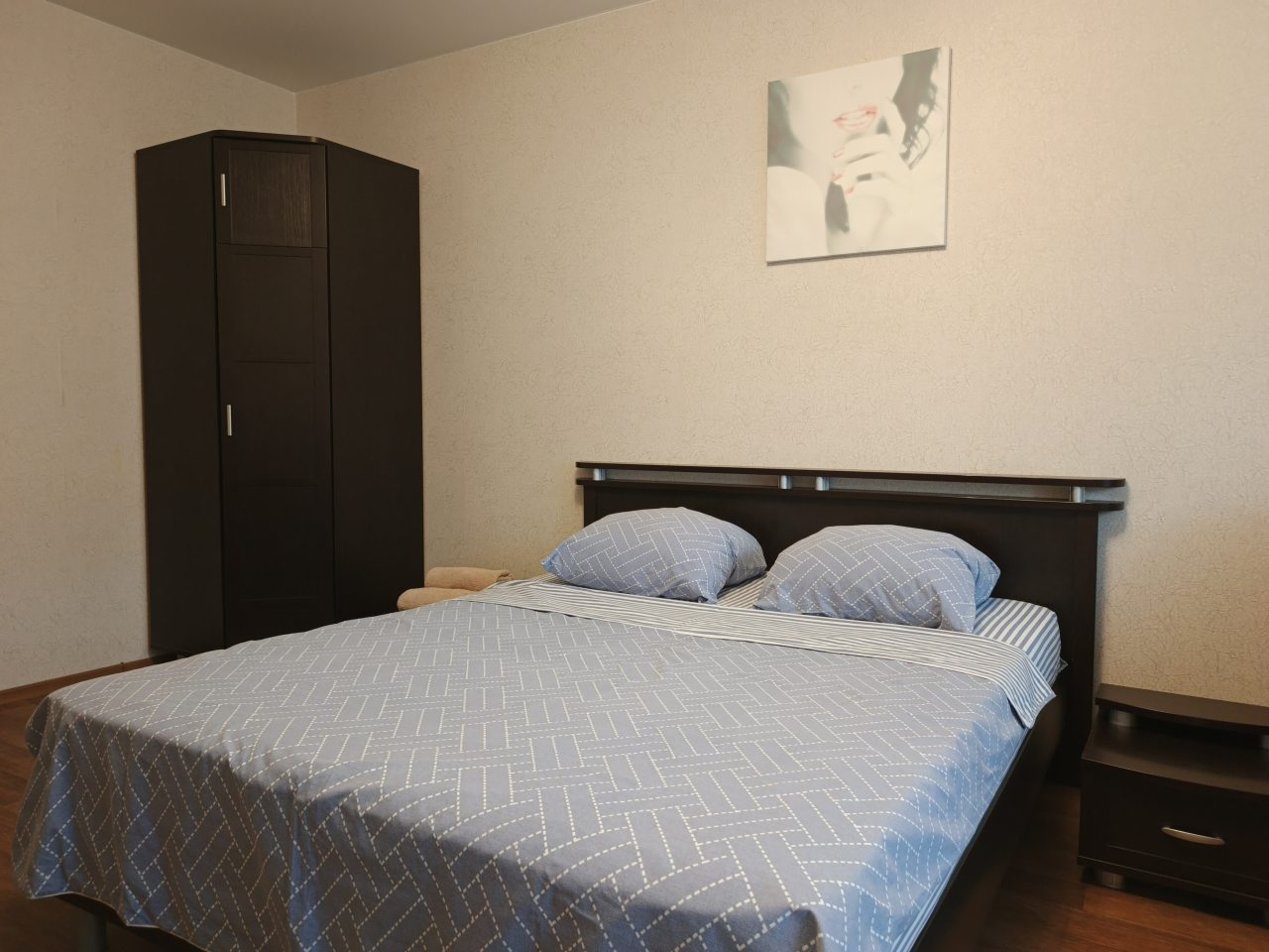 Апартаменты (Квартира на Московском проспекте 100), Апартаменты на Московском проспекте 100