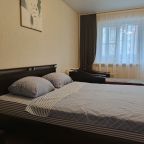 Апартаменты (Квартира на Московском проспекте 100), Апартаменты на Московском проспекте 100