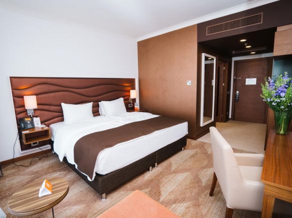 Фотография номера гостиницы Альфа Сириус