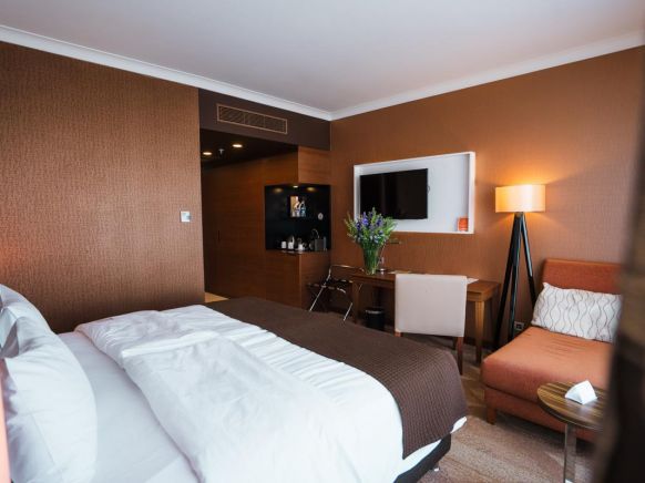 Фотография номера гостиницы Альфа Сириус