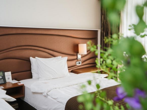 Фотография номера гостиницы Альфа Сириус