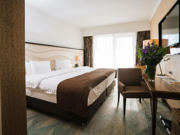 Фотография номера гостиницы Альфа Сириус